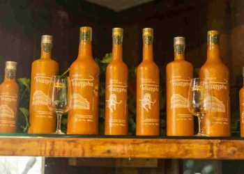 No mês dedicado à cachaça, a Triumpho anuncia novo rótulo para exportação