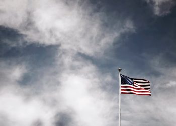 Elon Musk critica demora na imigração para os Estados Unidos