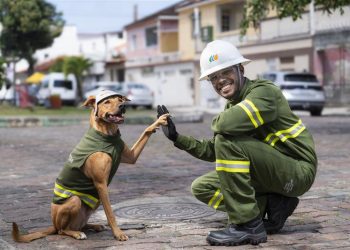 Vira-lata caramelo faz dupla com eletricista da Neoenergia para reforçar segurança com a rede elétrica