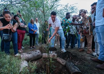 Prefeitura de Caruaru realiza plantio de taboca para fortalecer a cultura do pífano e a preservação ambiental