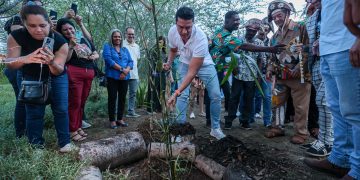 Prefeitura de Caruaru realiza plantio de taboca para fortalecer a cultura do pífano e a preservação ambiental