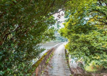 Parque Natural Municipal Professor João Vasconcelos Sobrinho celebra 43 anos como patrimônio ambiental de Caruaru