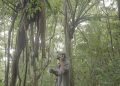 Projeto “Paisagens Sonoras” lança trilhas inéditas em PE