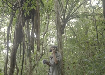 Projeto “Paisagens Sonoras” lança trilhas inéditas em PE