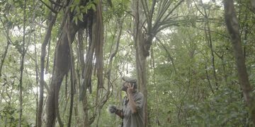 Projeto “Paisagens Sonoras” lança trilhas inéditas em PE