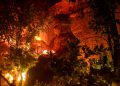 Cacau Park apresenta a Enigmaya, primeira Mad House da América Latina
