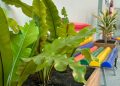 Projeto de Letramento Ambiental estimula estudantes a refletir sobre o cuidado com o meio ambiente