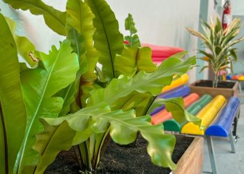 Projeto de Letramento Ambiental estimula estudantes a refletir sobre o cuidado com o meio ambiente