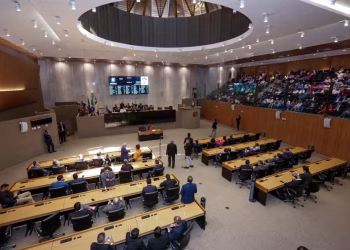 Conheça os deputados estaduais eleitos em Pernambuco